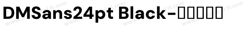 DMSans24pt Black字体转换